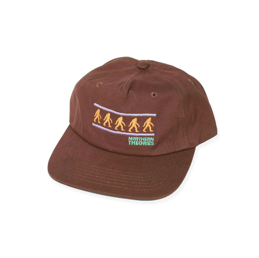 THEORIES NORTHERN THEORIES SNAPBACK HAT BROWN