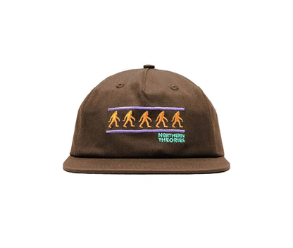 THEORIES NORTHERN THEORIES SNAPBACK HAT BROWN