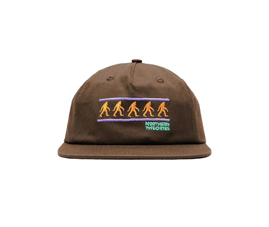 THEORIES NORTHERN THEORIES SNAPBACK HAT BROWN
